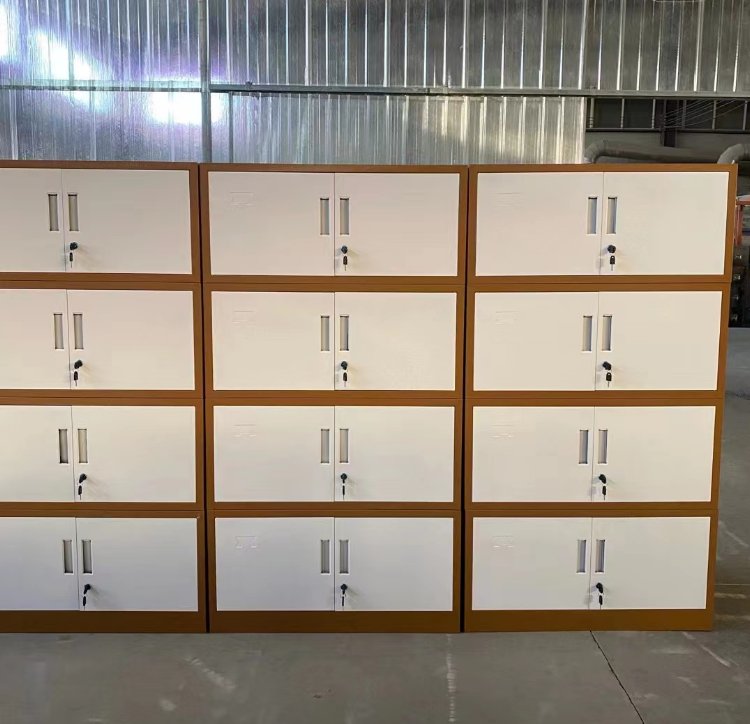 新澳马2025年免资料费